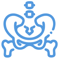 Bone Density Testing Service
