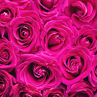 breast cancer Awareness